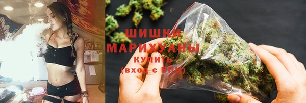 молекула духа Арсеньев