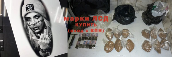 молекула духа Арсеньев