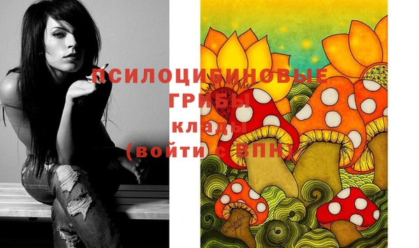 ECSTASY Армянск