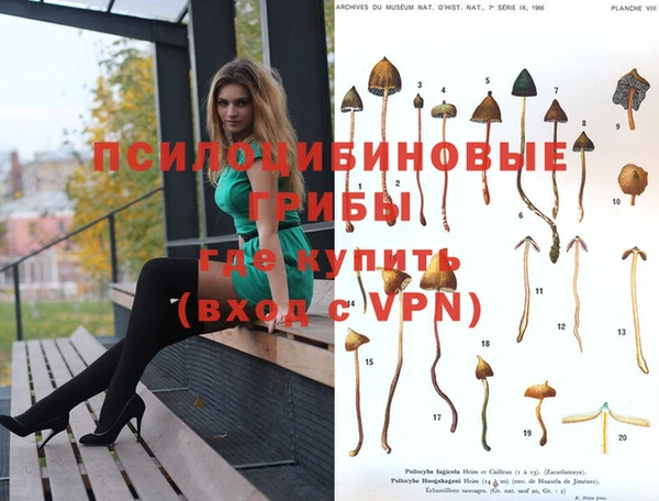ECSTASY Армянск